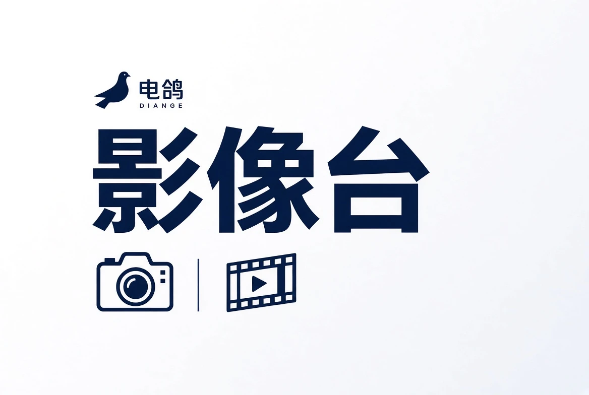 电鸽vision相关内容